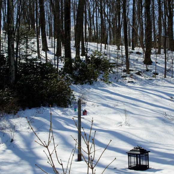 Meet your Posher, Posh - Picture 16 of 16